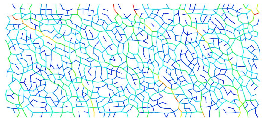 force network